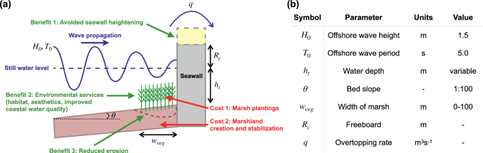 湿地帯は費用対効果の高い沿岸保護(Study: Marshes provide cost-effective coastal protection)