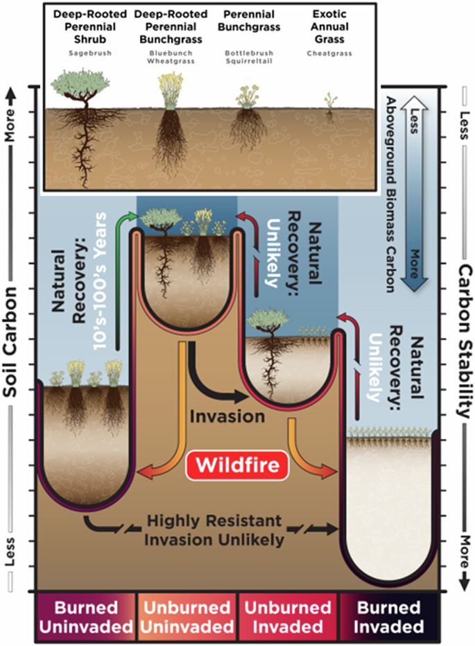 coco liners for planters Gardener Select Wall Basket Shape Coco Liner, 20-Inch main image 0