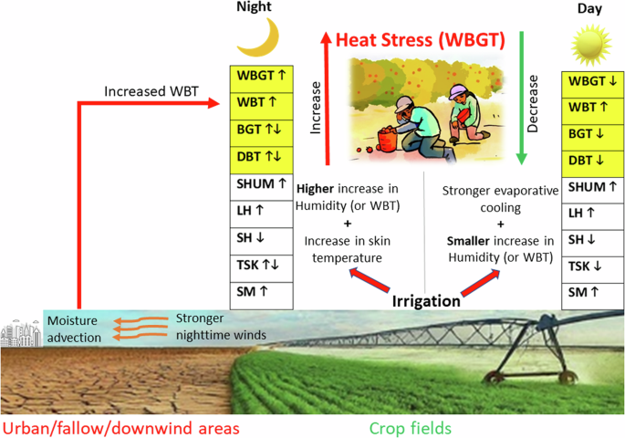 Fig. 9: Schematic diagram of the physical mechanisms involved in increasing or decreasing WBGT by irrigation in urban/fallow areas and crop fields.