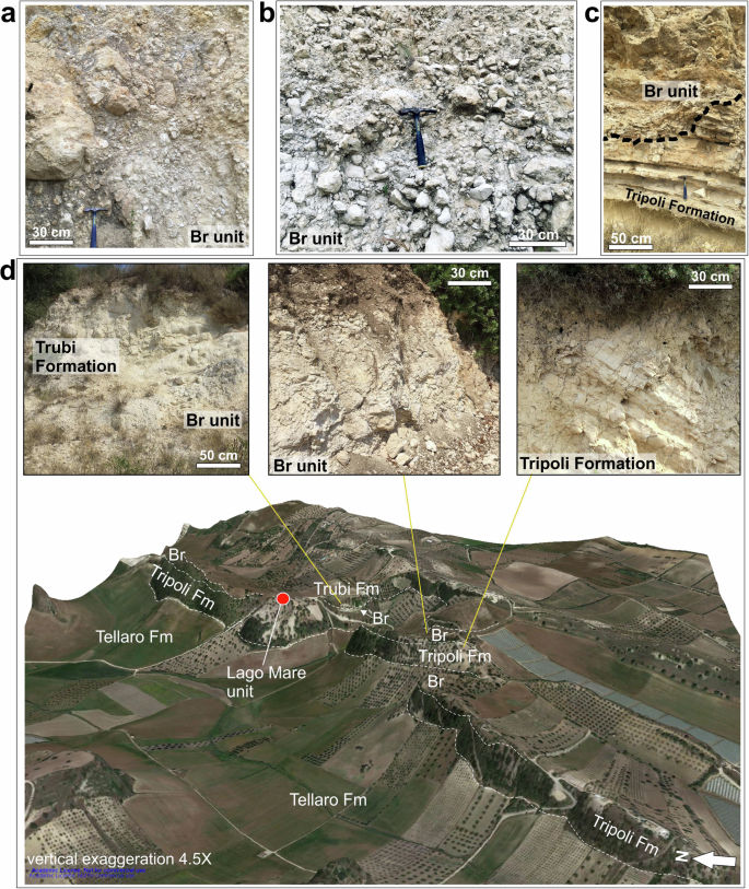 Fig. 3: Ridge outcrops.