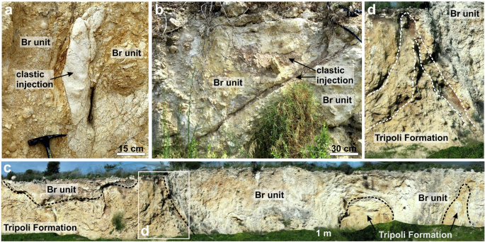 Fig. 4: Soft-sediment deformation structures and clastic injections induced by the deposition of the breccia (Br) unit.