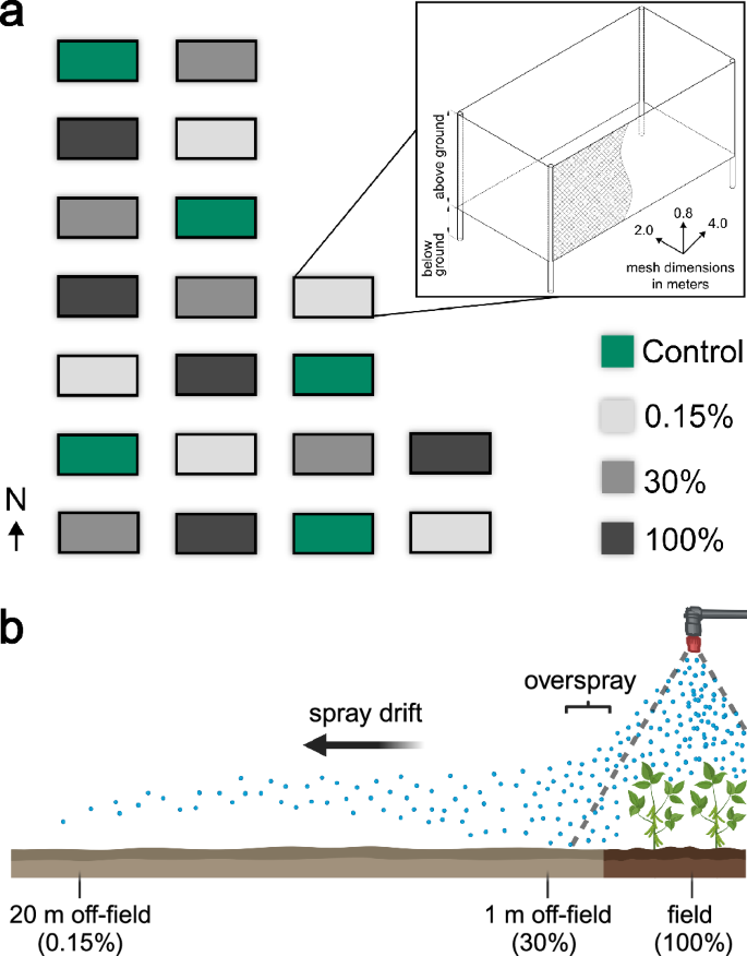 Neonicotinoid insecticides can pose a severe threat to grassland plant bug communities