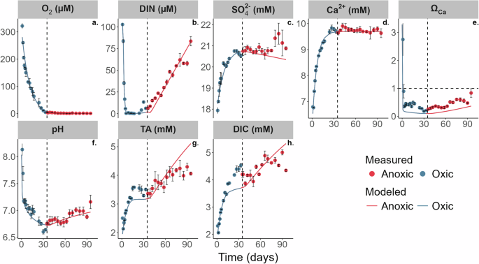 Fig. 1: Experimental and model incubation data from Boknis Eck.