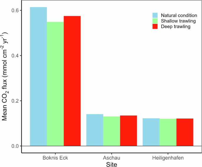 Fig. 6: Mean uptake of atmospheric CO2 at the study sites.
