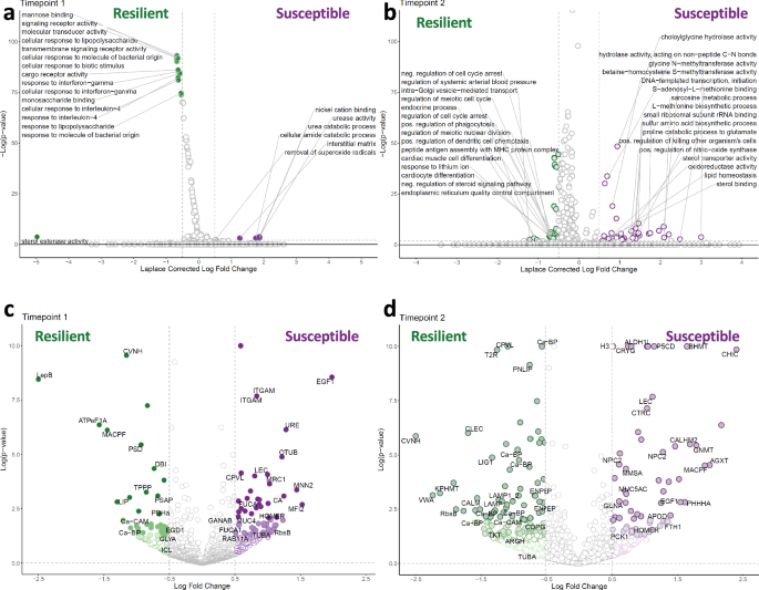 Fig. 2: Quantitative proteomic data on corals.