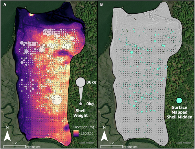 Fig. 4: Shovel test survey of Kenan Field on Sapelo Island.
