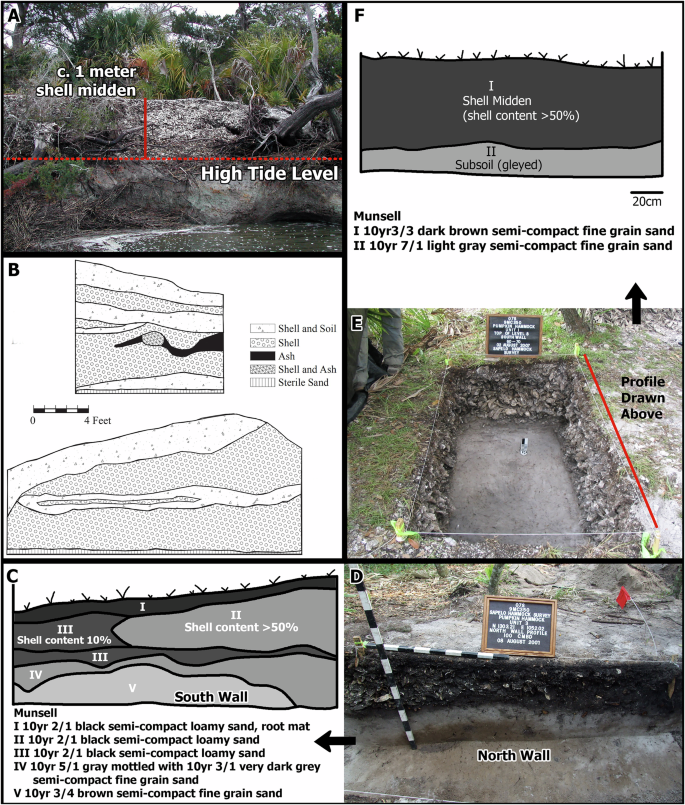 Fig. 5: Examples of archeological shell deposit profiles.