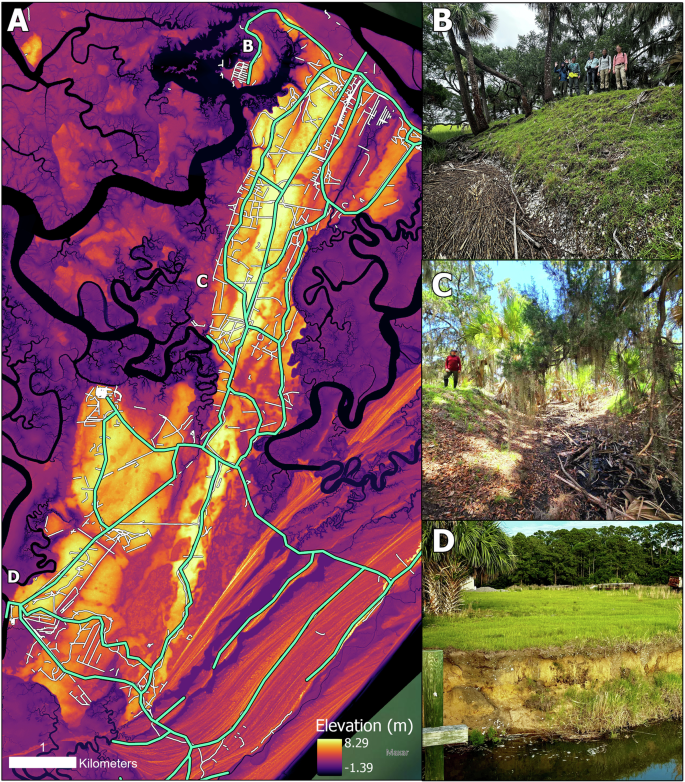 Fig. 6: All potential landscape modifications identified via LiDAR on Ossabaw Island.
