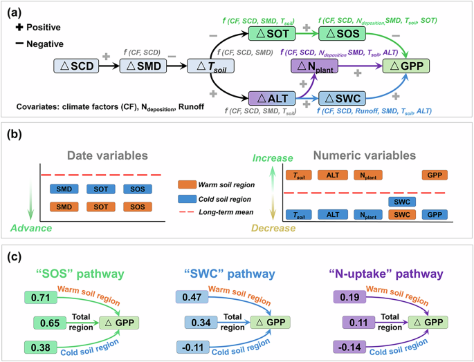 Fig. 5: Schematic diagram of the magnitude and mechanism of changes in plant productivity in years with shortened snow cover duration.