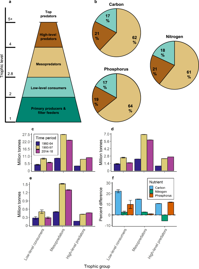 Fig. 5: Total nutrient extractions by trophic group across time periods.