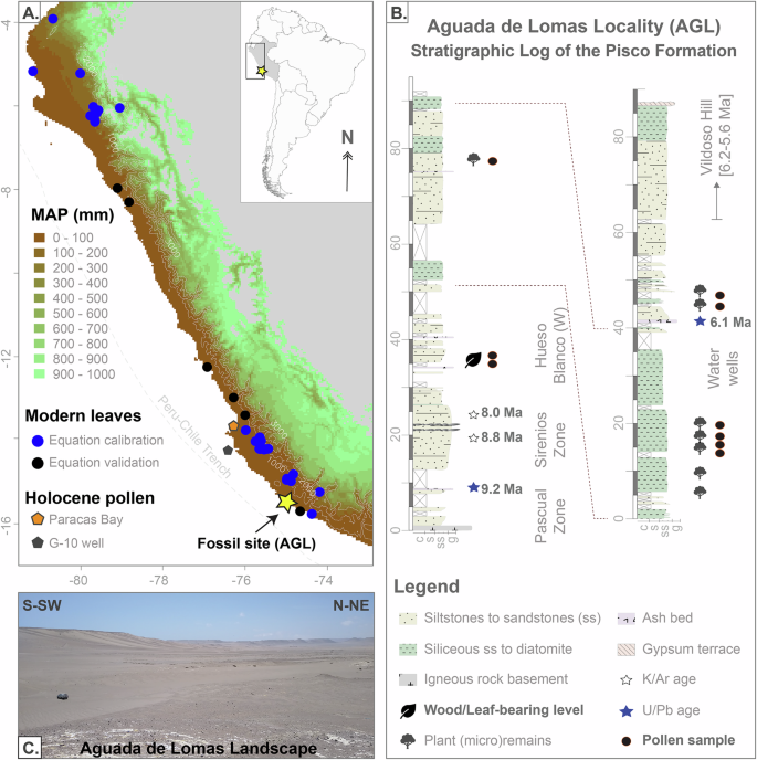Fig. 1: Fossil site location and stratigraphic position.