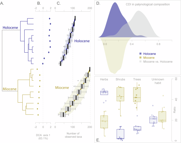 Fig. 3: Diversity and compositional comparison of Miocene and Holocene palynological assemblages.