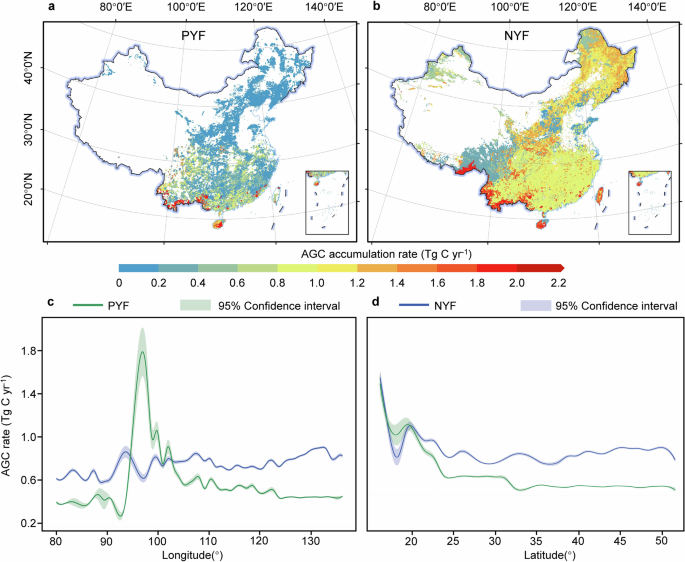 Fig. 2: Distributions of PYF and NYF AGC accumulation rates in China.