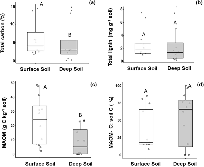 Fig. 3: Mangrove carbon (C) and the nature of soil organic matter between different soil depths.