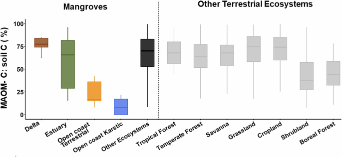Fig. 5: Mineral-associated organic matter (MAOM) normalized by soil carbon across soil mangrove settings and other ecosystems.