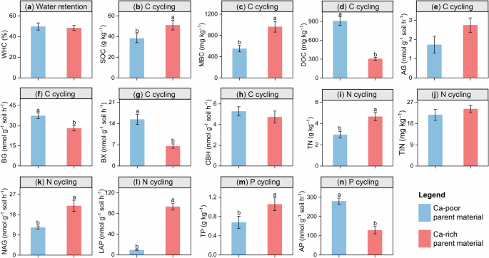 Fig. 2: Soil parameters reflecting water retention, carbon cycling, nitrogen cycling, and phosphorus cycling in soils derived from Ca-rich and Ca-poor parent materials.