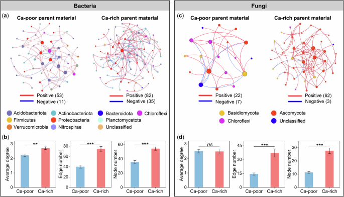 Fig. 3: Microbial network complexity in soils derived from Ca-rich and Ca-poor parent materials.