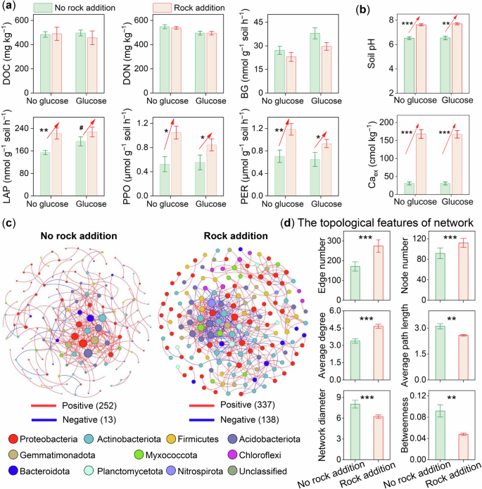 Fig. 7: Effects of Ca-rich rock addition on carbon and nitrogen cycling and bacterial network complexity in Ca-rich soils: microcosm experiment.