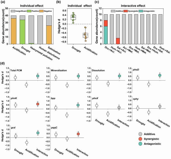 Fig. 2: Individual and interactive effects of environmental stressors on the abundances of genes involved in microbial P cycling.