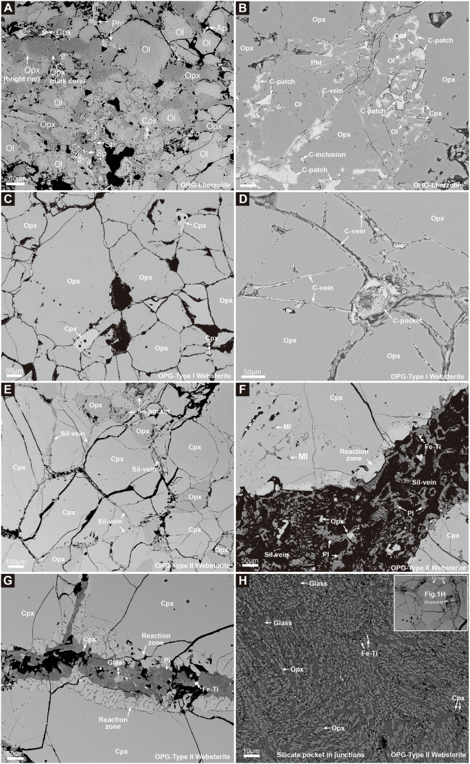 Fig. 1: Back scattered electron (BSE) images of ORG and OPG mantle xenoliths.