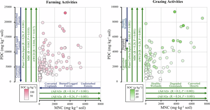 Fig. 4: Relationships between microbial necromass carbon and plant detritus carbon with land use change.