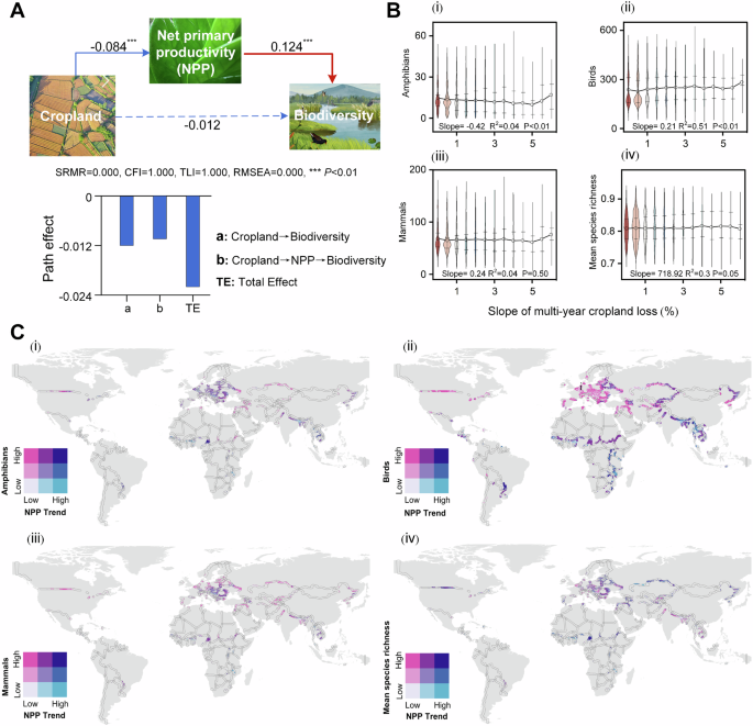 Fig. 3: Mechanisms for the correlation between cropland change and biodiversity.