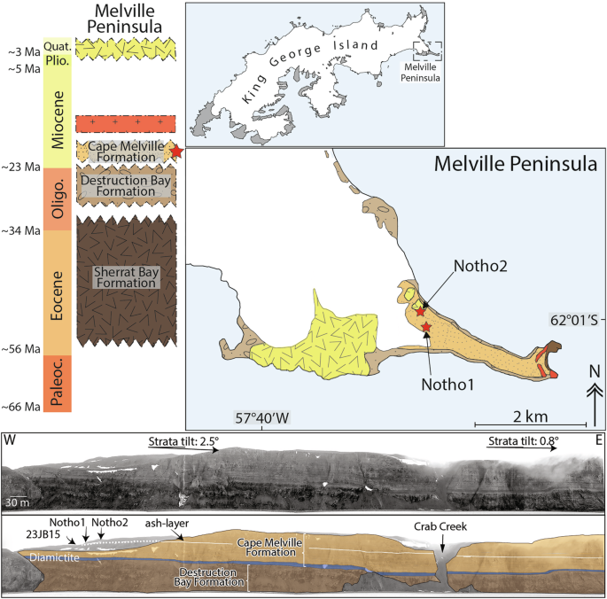 Fig. 2: Geological map and stratigraphic log of the Melville Peninsula, King George Island.