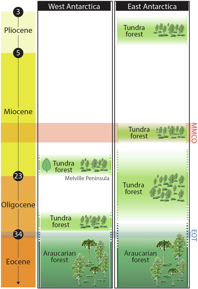 Fig. 5: Macrofossil vegetation record in West and East Antarctica during the Eocene to Pliocene.
