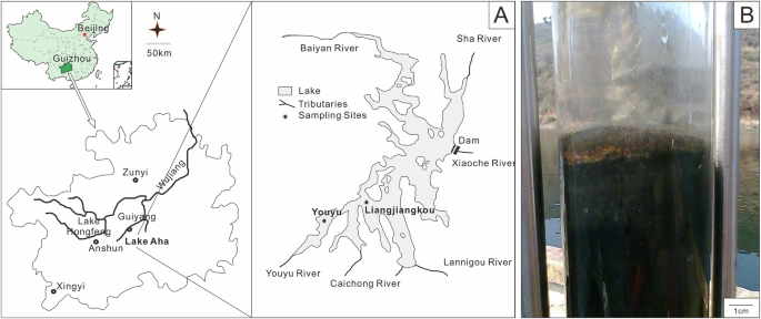 Fig. 1: Map of Sampling locations in Lake Aha, Guizhou, southwestern China.