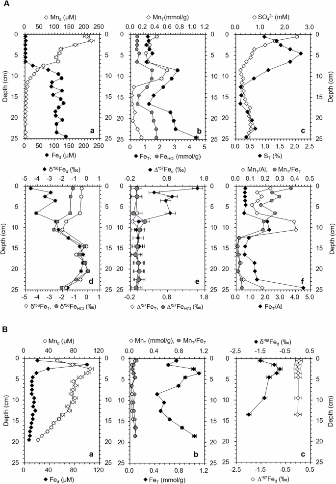 Fig. 2: Vertical chemical and Fe-isotope profiles of porewaters or sediments of Lake Aha.