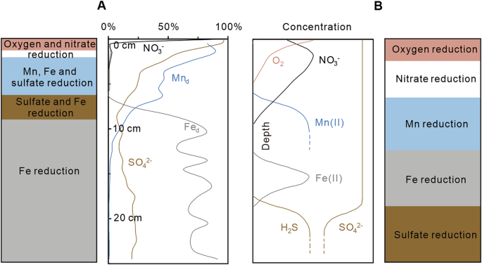 Fig. 4: Redox zonation models.