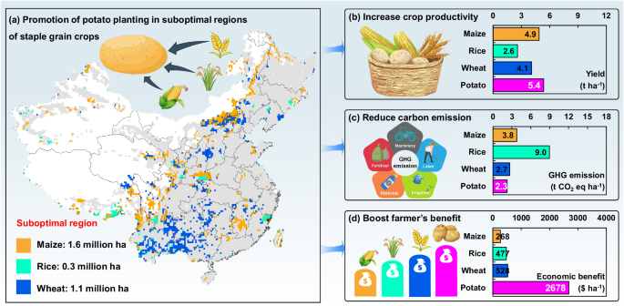 Fig. 7: The overall effects of crop switching.