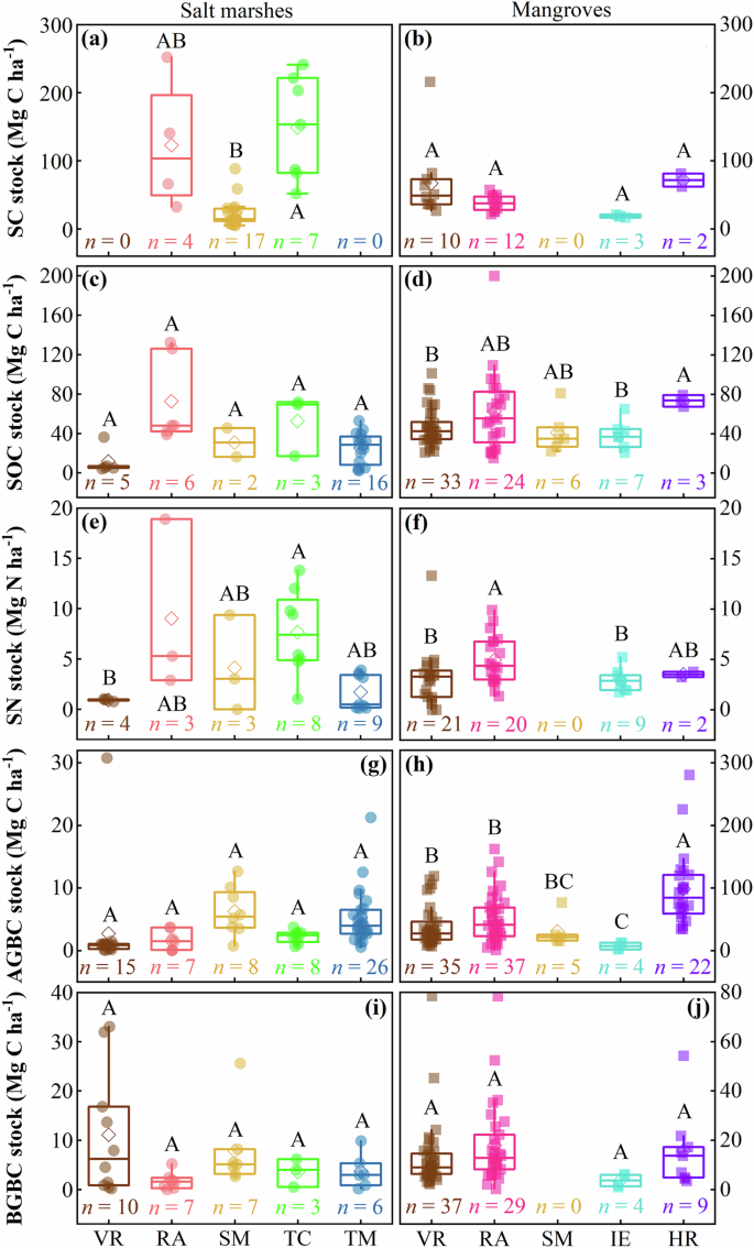 Fig. 2: Ecosystem carbon (C) and nitrogen (N) stocks of current restored salt marshes and mangroves.