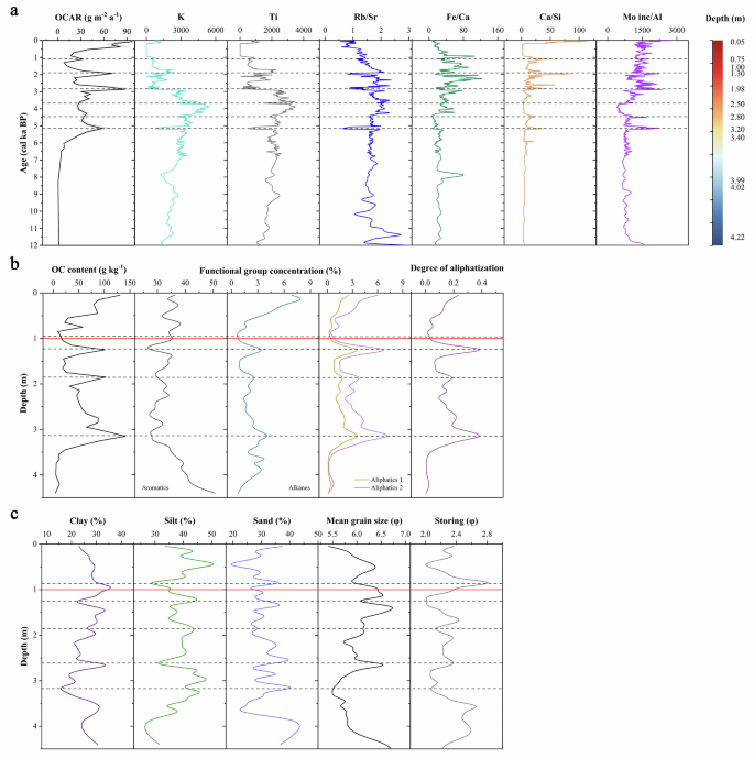 Fig. 3: Vertical distribution of organic carbon accumulation and associated sedimentary properties in core Naqu4.