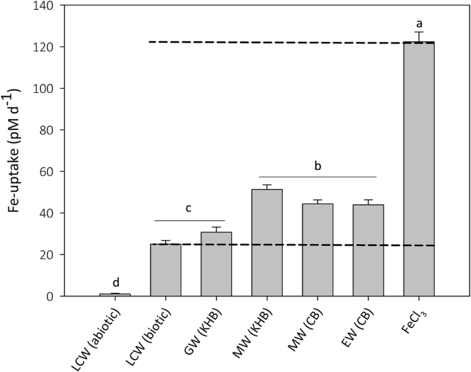 Fig. 4: Bioavailability of iron from nearshore sources from South Georgia.