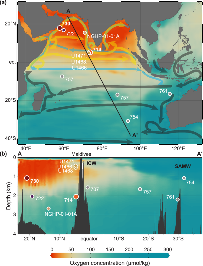 Fig. 1: Map and cross section showing modern oxygenation and site locations.