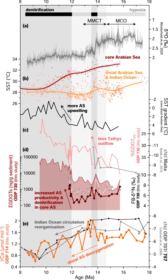 Fig. 3: Relationship between upwelling, ocean circulation, productivity, and oxygenation in the Arabian Sea.