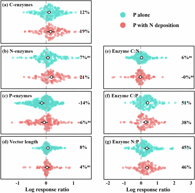 Fig. 2: Effects of P addition, either alone or combined with N addition, on soil enzyme activities, enzymatic stoichiometries, and vector length.