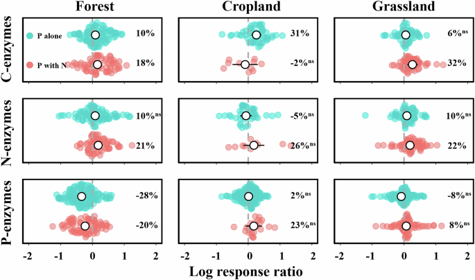 Fig. 3: Effects of P addition, either alone or combined with N addition, on soil enzyme activities of different ecosystems.