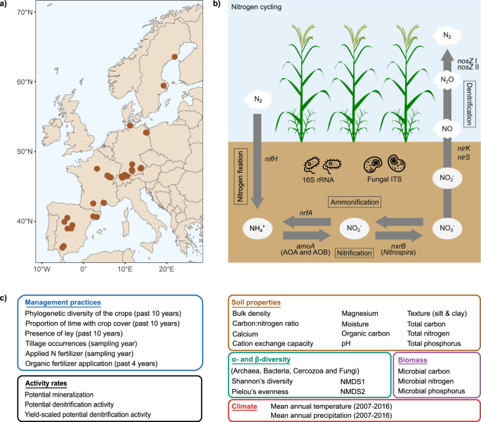 Fig. 1: Schematics of the study design and variables included in the analyses.