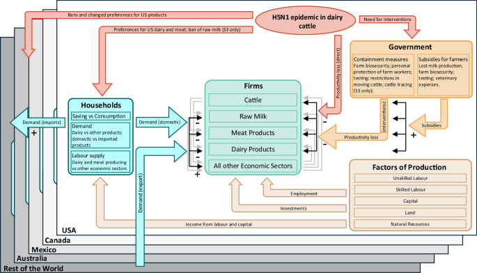 Fig. 1: Model of the economic impact of H5N1 in the USA and its trading partners.