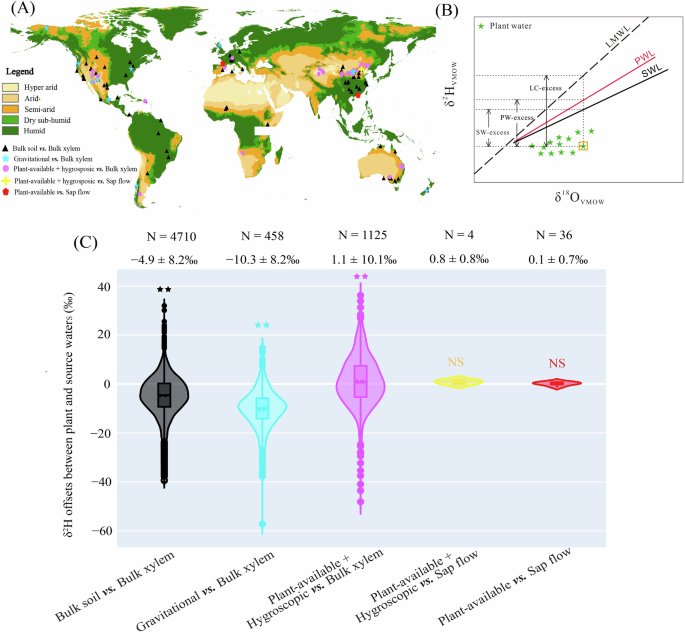 Fig. 2: The re-quantified δ2H offsets between plant water and “possible source” water line (PWL) across 212 globally distributed field sites sourced from 110 published studies.