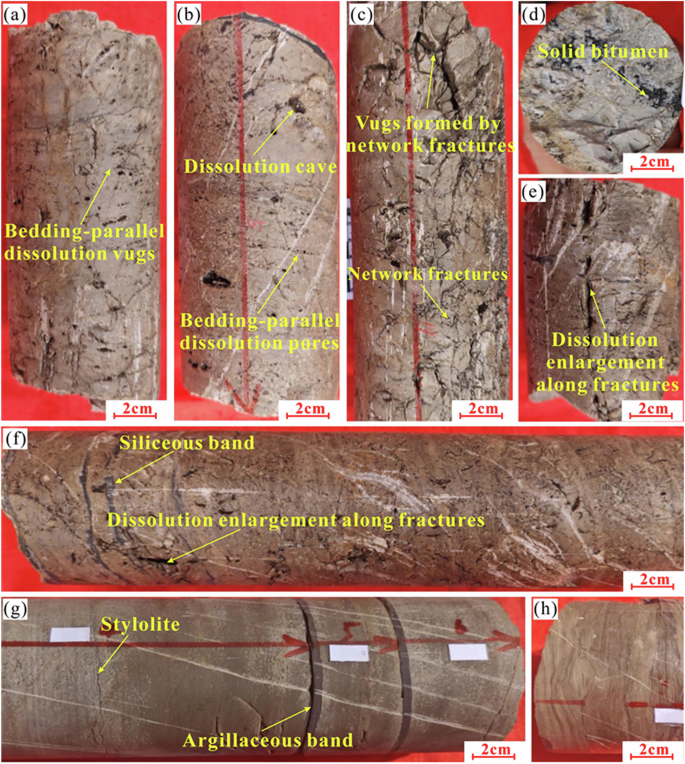Fig. 7: Core photographs of the Shayilike Formation from the SDTK-1 well (after ref. 15), illustrating reservoir characteristics at different depths.