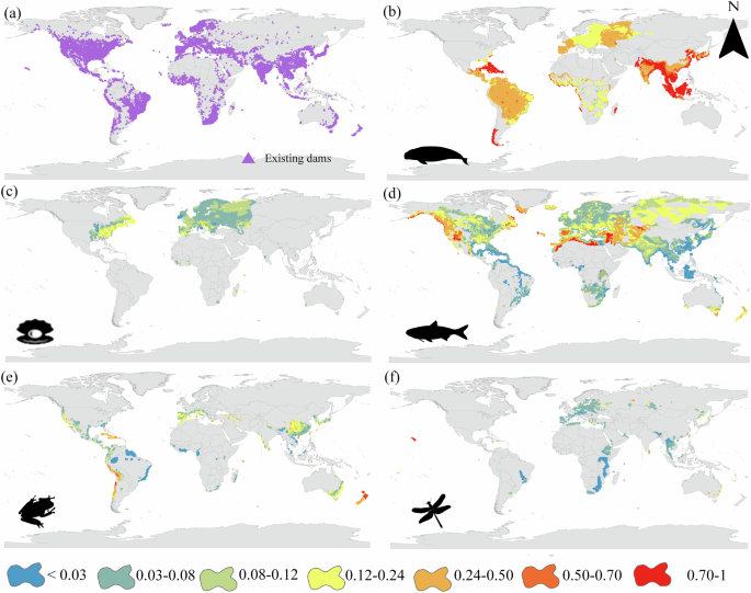 Fig. 2: The proportions of threatened freshwater species across different categories in dam areas.