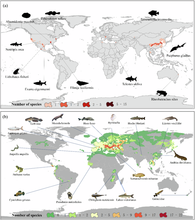 Fig. 8: Extinct and critically endangered freshwater species associated with dam development.