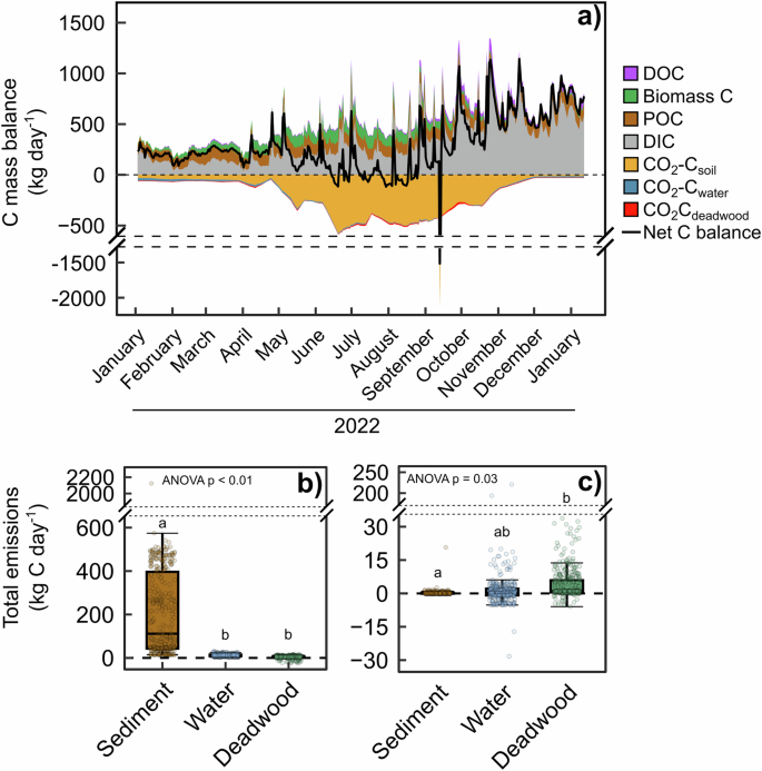 Fig. 2: Temporally resolved C budget and GHG emissions from wetland interfaces.