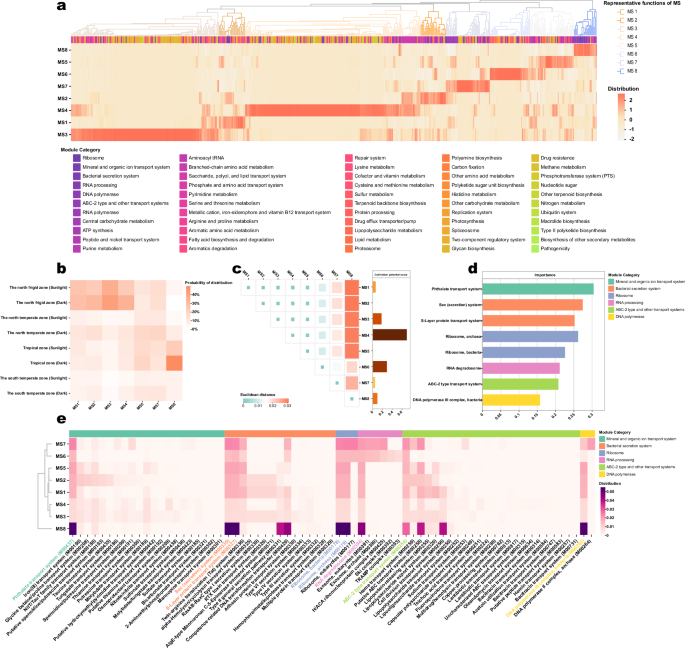 Fig. 2: Functional differentiation of marine microbial MS.