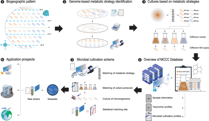 Fig. 3: Analytical workflow for marine microbial culture protocols.