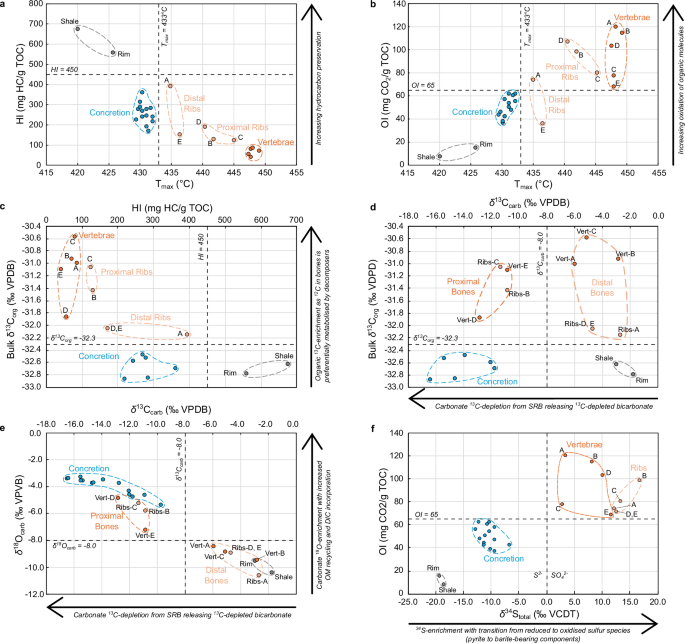 Fig. 2: Organic matter (OM) and stable isotope characterization.