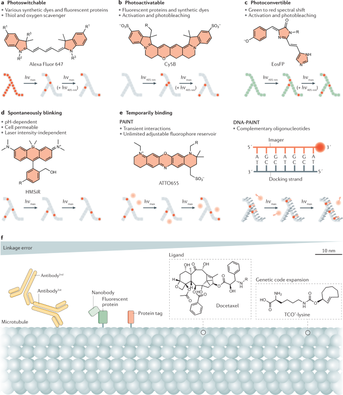 Single Molecule Localization Microscopy Nature Reviews Methods Primers